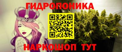 дурь Будённовск